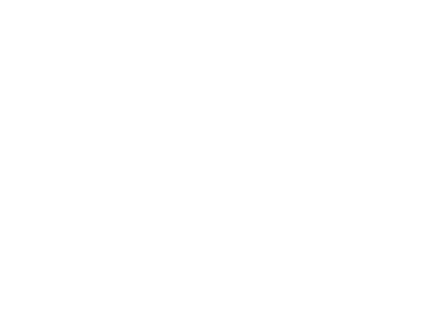 MAPO Werbeagentur Logo Transparent