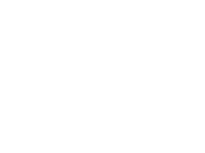 Wagner Group Logo Transparent